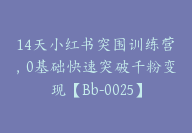 14天小红书突围训练营，0基础快速突破千粉变现【Bb-0025】-51搞钱网