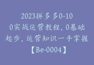 2023拼多多0-100实战运营教程，0基础起步，运营知识一手掌握【Be-0004】-51搞钱网