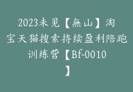 2023未见【無山】淘宝天猫搜索持续盈利陪跑训练营【Bf-0010】-51搞钱网