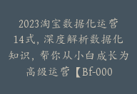 2023淘宝数据化运营14式，深度解析数据化知识，帮你从小白成长为高级运营【Bf-0001】-51搞钱网