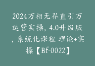 2024万相无界直引万运营实操，4.0升级版，系统化课程 理论+实操【Bf-0022】-51搞钱网