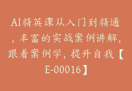 AI精英课从入门到精通，丰富的实战案例讲解，跟着案例学，提升自我【E-00016】-51搞钱网