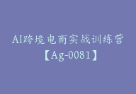 AI跨境电商实战训练营【Ag-0081】-51搞钱网