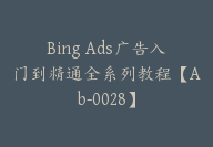 Bing Ads广告入门到精通全系列教程【Ab-0028】-51搞钱网