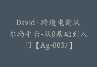 David·跨境电商沃尔玛平台-从0基础到入门【Ag-0037】-51搞钱网