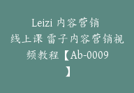 Leizi 内容营销 线上课 雷子内容营销视频教程【Ab-0009】-51搞钱网