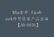 Mia老师·Facebook外贸获客产品出海【Ab-0036】-51搞钱网