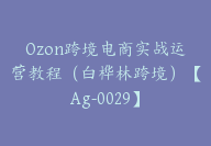 Ozon跨境电商实战运营教程（白桦林跨境）【Ag-0029】-51搞钱网