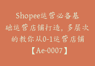 Shopee运营必备基础运营店铺打造，多层次的教你从0-1运营店铺【Ae-0007】-51搞钱网