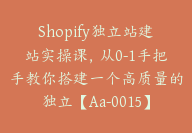 Shopify独立站建站实操课，从0-1手把手教你搭建一个高质量的独立【Aa-0015】-51搞钱网