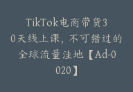 TikTok电商带货30天线上课，不可错过的全球流量洼地【Ad-0020】-51搞钱网