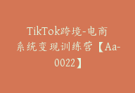 TikTok跨境-电商系统变现训练营【Aa-0022】-51搞钱网