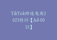 TikTok跨境电商2023特训【Ad-0015】-51搞钱网