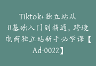 Tiktok+独立站从0基础入门到精通，跨境电商独立站新手必学课【Ad-0022】-51搞钱网