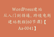 WordPress建站从入门到精通，跨境电商建站教程(60节课)【Aa-0041】-51搞钱网