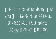 【牛气学堂老陶电商【第9期】，拼多多名师线上领跑28天，线上孵化-实战爆款班【Be-0002】-51搞钱网