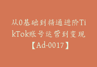 从0基础到精通进阶TikTok账号运营到变现【Ad-0017】-51搞钱网