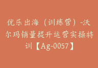 优乐出海（训练营）-沃尔玛销量提升运营实操特训【Ag-0057】-51搞钱网