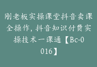 刚老板实操课堂抖音卖课全操作，抖音知识付费实操技术一课通【Bc-0016】-51搞钱网