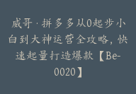 威哥·拼多多从0起步小白到大神运营全攻略，快速起量打造爆款【Be-0020】-51搞钱网