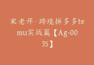 宋老师·跨境拼多多temu实战篇【Ag-0035】-51搞钱网