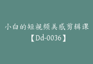 小白的短视频美感剪辑课【Dd-0036】-51搞钱网