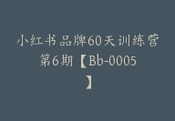 小红书品牌60天训练营第6期【Bb-0005】-51搞钱网