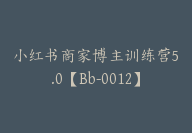 小红书商家博主训练营5.0【Bb-0012】-51搞钱网