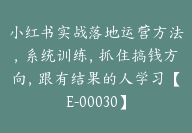 小红书实战落地运营方法，系统训练，抓住搞钱方向，跟有结果的人学习【E-00030】-51搞钱网