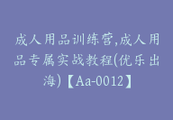 成人用品训练营,成人用品专属实战教程(优乐出海)【Aa-0012】-51搞钱网