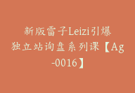 新版雷子Leizi引爆独立站询盘系列课【Ag-0016】-51搞钱网