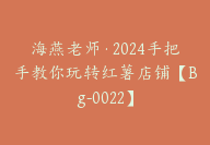 海燕老师·2024手把手教你玩转红薯店铺【Bg-0022】-51搞钱网