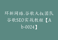 环新网络.谷歌大叔团队谷歌SEO实战教程【Ab-0024】-51搞钱网