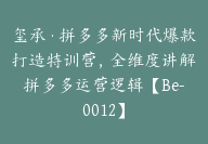 玺承·拼多多新时代爆款打造特训营，全维度讲解拼多多运营逻辑【Be-0012】-51搞钱网