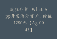 疯狂外贸·WhatsApp开发海外客户，价值1280元【Ag-0043】-51搞钱网