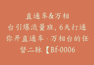 直通车&万相台引爆流量班，6天打通你开直通车·万相台的任督二脉【Bf-0006】-51搞钱网