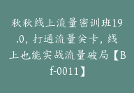 秋秋线上流量密训班19.0，打通流量关卡，线上也能实战流量破局【Bf-0011】-51搞钱网