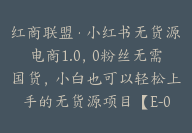 红商联盟·小红书无货源电商1.0，0粉丝无需国货，小白也可以轻松上手的无货源项目【E-00012】-51搞钱网