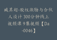 臧其超-股权激励与合伙人设计 300分钟线上视频课 9集视频【Da-0046】-51搞钱网