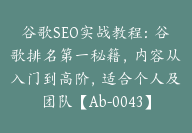 谷歌SEO实战教程：谷歌排名第一秘籍，内容从入门到高阶，适合个人及团队【Ab-0043】-51搞钱网