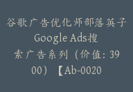 谷歌广告优化师部落英子Google Ads搜索广告系列（价值：3900）【Ab-0020】-51搞钱网