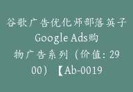 谷歌广告优化师部落英子Google Ads购物广告系列（价值：2900）【Ab-0019】-51搞钱网