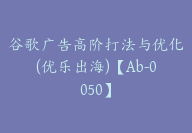 谷歌广告高阶打法与优化(优乐出海)【Ab-0050】-51搞钱网