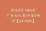 跨境B哥-tiktok广告投放课(价值6980)【Ad-0005】-51搞钱网