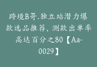 跨境B哥.独立站潜力爆款选品推荐，测款出单率高达百分之80【Aa-0029】-51搞钱网