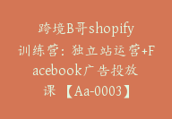 跨境B哥shopify训练营：独立站运营+Facebook广告投放课 【Aa-0003】-51搞钱网