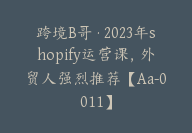 跨境B哥·2023年shopify运营课，外贸人强烈推荐【Aa-0011】-51搞钱网