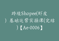 跨境Shopee(虾皮）基础运营实操课(完结)【Ae-0006】-51搞钱网