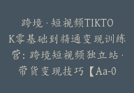 跨境·短视频TIKTOK零基础到精通变现训练营：跨境短视频独立站·带货变现技巧【Aa-0028】-51搞钱网