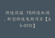 跨境侦探·FB跨境私域，新型跨境电商项目【Ab-0035】-51搞钱网